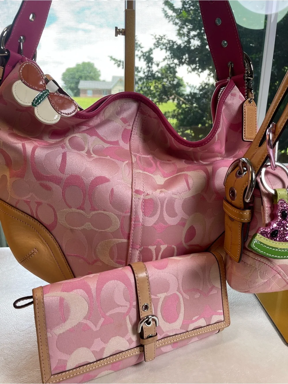 Coach shoulder bag